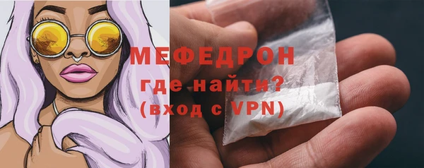 прущие грибы Верея