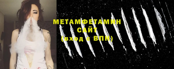 прущие грибы Верея