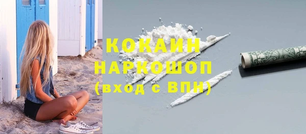 прущие грибы Верея