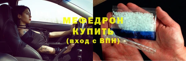 прущие грибы Верея