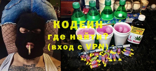 прущие грибы Верея