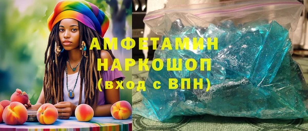 прущие грибы Верея