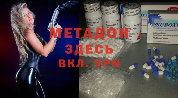 прущие грибы Верея