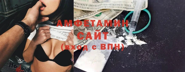 прущие грибы Верея