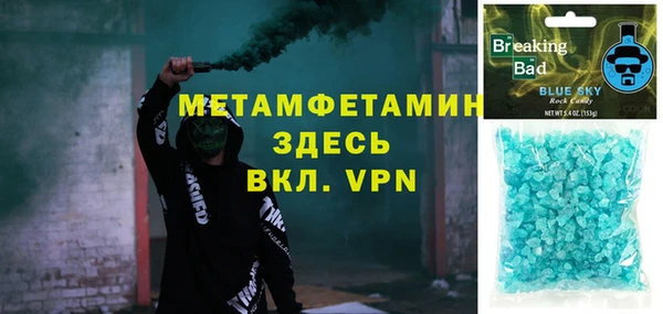 прущие грибы Верея