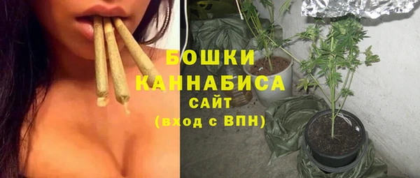 прущие грибы Верея