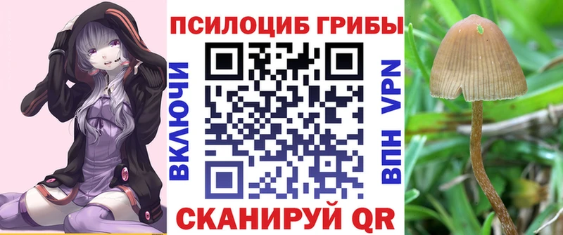 как найти   Чита  Псилоцибиновые грибы мицелий 