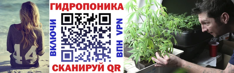 Бошки марихуана ГИДРОПОН  Чита 